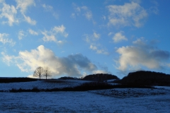 Bilder Nov 16  bis 16.1.17 269